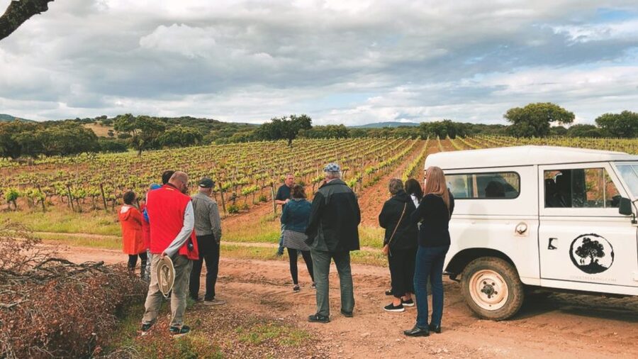 2hr Cork Safari in a Classical Land Rover - The Cork Stripper’s Meal