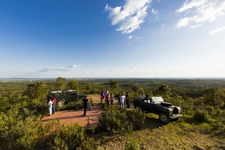 2hr Cork Safari in a Classical Land Rover - Is $153 a Fair Price?
