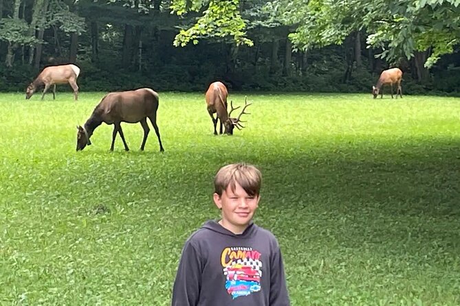 3 - 3.5 HR Smoky Mtn. Cherokee Eco Elk Safari Jeep Adventure - Timing, group size, and practical planning