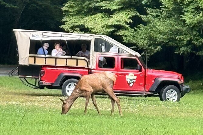 3 - 3.5 HR Smoky Mtn. Cherokee Eco Elk Safari Jeep Adventure - Riding the open-air Jeep