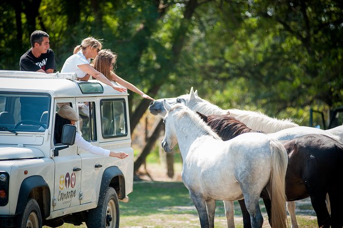 3.5 Hour Camargue 4x4 Safari from Le Grau-du Roi - Flamingos, white horses, and Camargue bulls