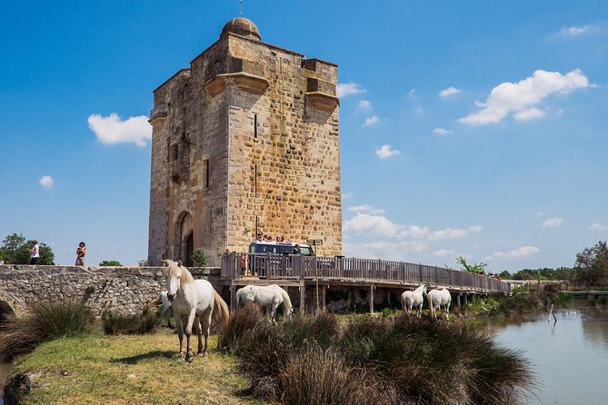 3.5 Hour Camargue 4x4 Safari from Le Grau-du Roi - Guides who bring the region to life