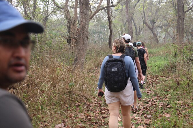 3-Day Chitwan National Park Jungle Safari Tour Package with Pick Up - What the $180 package really gives you