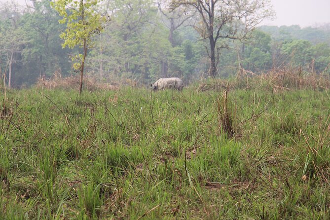 3-Day Chitwan National Park Jungle Safari Tour Package with Pick Up - The 6:00 AM start and Rapti River canoe ride