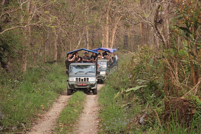 3-Day Chitwan National Park Jungle Safari Tour Package with Pick Up - Jeep safari, jungle walk, and wildlife expectations
