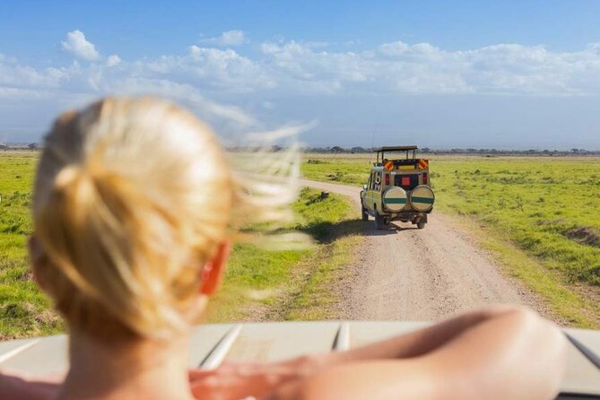 3 Day Classic, Guided Serengeti Safari - Communication, flexibility, and practical support