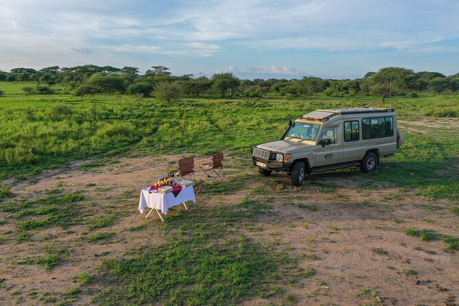 3-Day Classic Serengeti Safari - Booking details worth handling carefully
