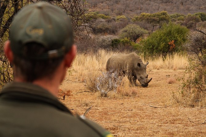 3 Day Garden Route Highlights and Safari with Private Transfers - Elephant observation and the road toward the coast