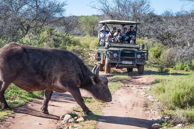 3 Day Garden Route Highlights and Safari with Private Transfers - Accommodation, meals, and daily comfort