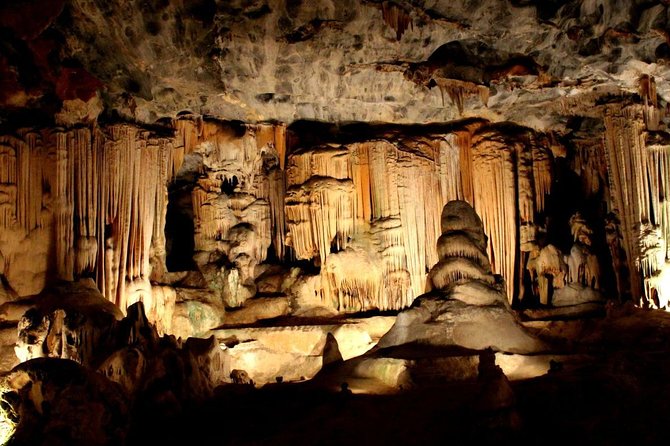 3 Day Garden Route's Best Highlights with Safari from Cape Town - Who should book this Garden Route tour?