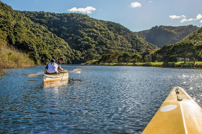3 Day Garden Route's Best Highlights with Safari from Cape Town - The biggest strengths and the real compromises
