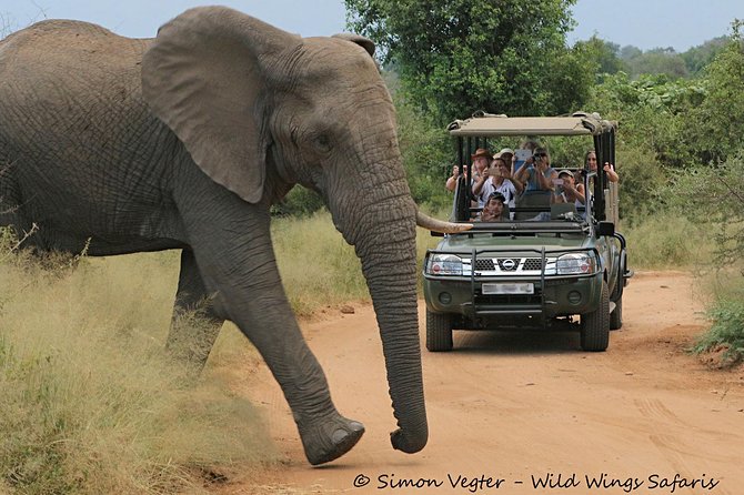 3-Day Kruger National Park Open Vehicle Safari - Day one: the long road from Johannesburg to Kruger