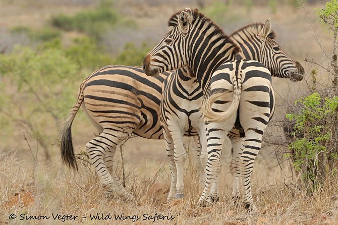 3-Day Kruger National Park Open Vehicle Safari - The park bungalow: comfort without a private-lodge price
