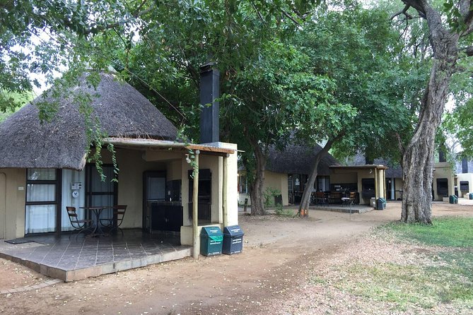 3-Day Kruger National Park Open Vehicle Safari - Day three: one last drive, then the return to Johannesburg