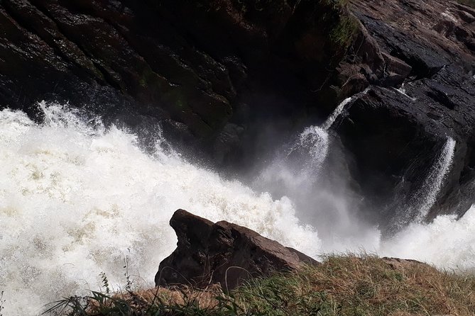 3 Day Private safari to Murchison Falls National Park with Big Five Experience - Key Things to Know Before You Go