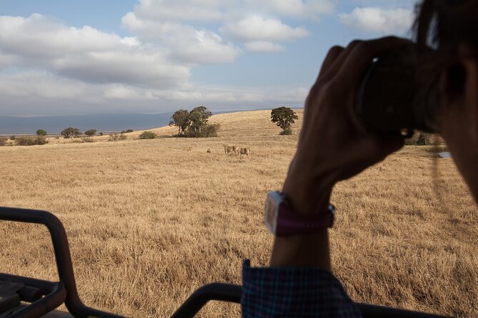 3 Day Private Serengeti Safari Tour with One Way Flight - Accommodation, meals, and comfort