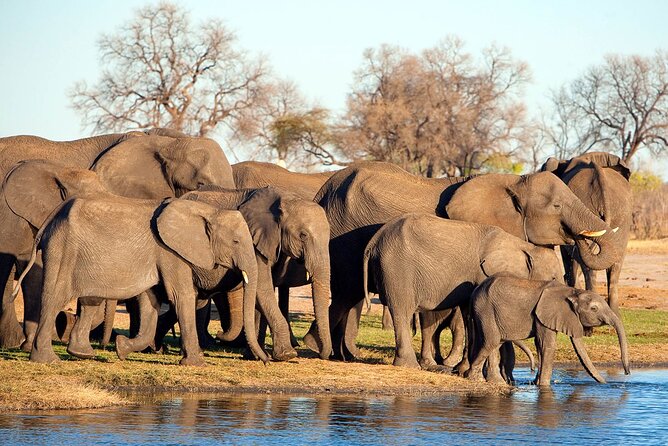 3-Day Tarangire, Ngorongoro and Lake Manyara Camping Safari - Day one: elephants and baobabs in Tarangire