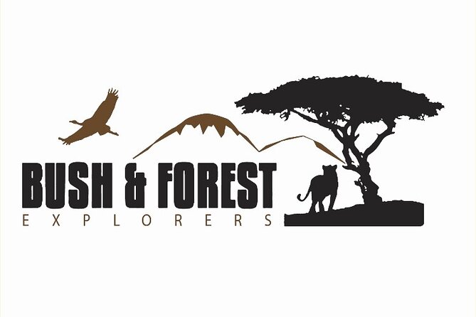 3-Day Tarangire, Ngorongoro and Lake Manyara Camping Safari - The guide and vehicle shape the whole experience
