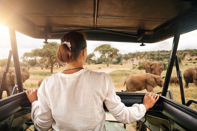 3-Day Tarangire, Ngorongoro and Lake Manyara Camping Safari - What the $750 price really covers