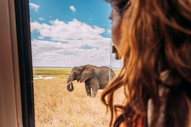 3-Day Taste of Tanzania Safari (Tarangire National park and Ngorongoro Crater) - Ngorongoro Crater: A Compact Wildlife Day