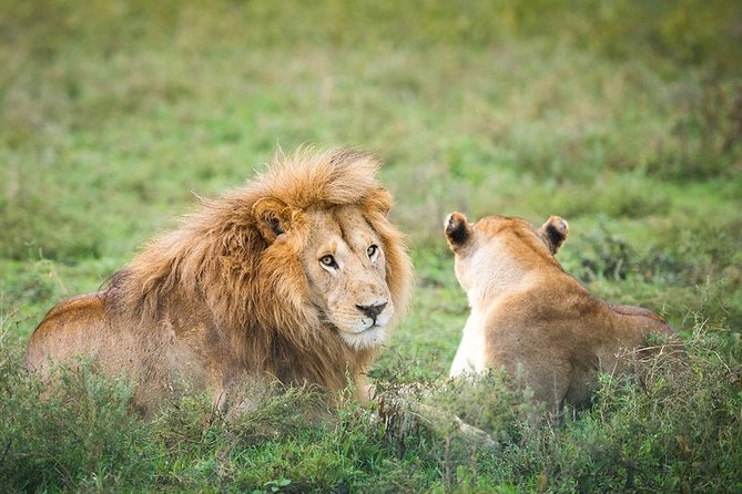 3-Day Taste of Tanzania Safari (Tarangire National park and Ngorongoro Crater) - What to Pack and Clarify