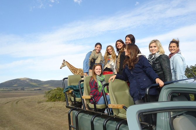 3 Day Wildlife Safari Tour - Garden Route Small Group Tour from Cape Town - What this three-day route is really trying to do