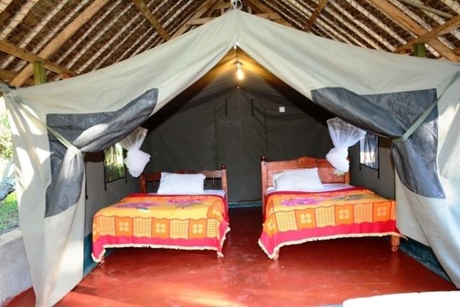 3 days 2 nights budget group safari to Maasai Mara National Reserve - Day two, the safari’s main event