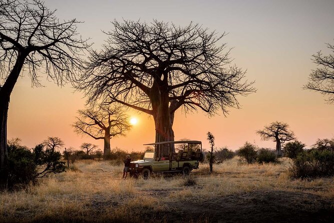 3 Days 2 Nights Group Joining Serengeti and Ngorogoro Safari - Day 3: The Ngorongoro Crater wildlife drive