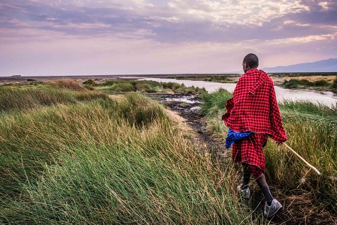 3 Days 2 Nights Group Joining Serengeti and Ngorogoro Safari - Group size, vehicle space, and the daily rhythm
