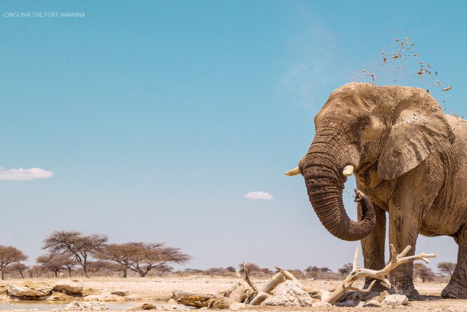 3 Days 2 Nights Group Joining Serengeti and Ngorogoro Safari - Who should book this safari?