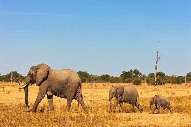 3 Days, 2 Nights Safari - Amboseli National Park and Tsavo West Adventure Safari - Why this route works from Diani Beach