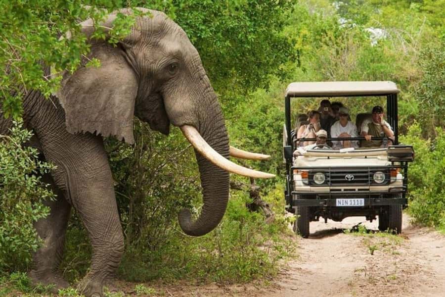 3 DAYS, 2 NIGHTS SAFARI FROM ZANZIBAR TO MIKUMI BY FERRY. - Key details before you book