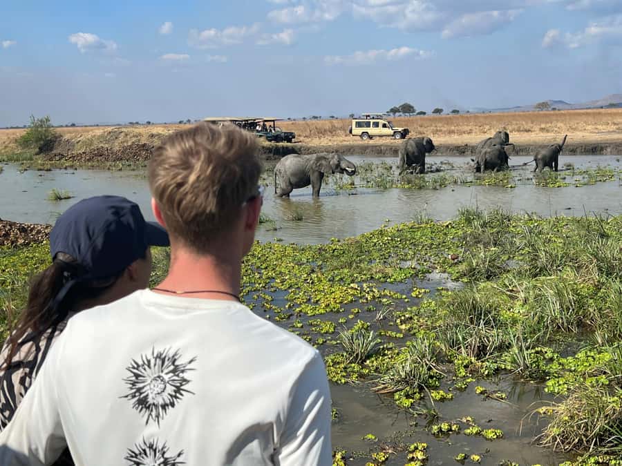 3 DAYS, 2 NIGHTS SAFARI FROM ZANZIBAR TO MIKUMI BY FERRY. - Practical advice for a smoother trip
