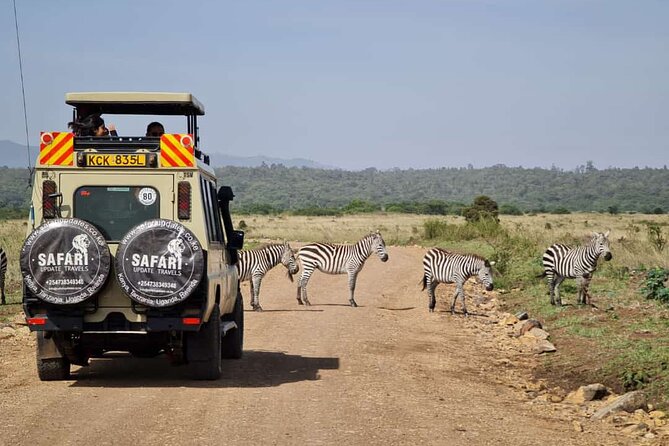 3 Days Best of MasaiMara Wildlife Private Safari, Mid-Range offer - Day two: seven hours searching for the Big Five