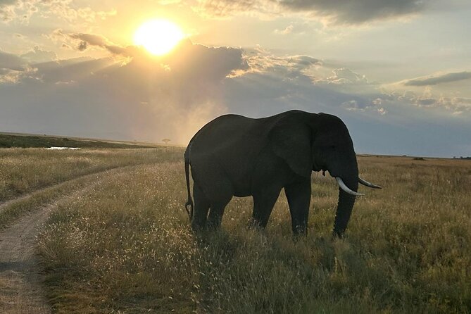 3-Days Budget Lodge Safari - Tarangire, Ngorongoro & Lake Manyara - Cancellation and Booking Details