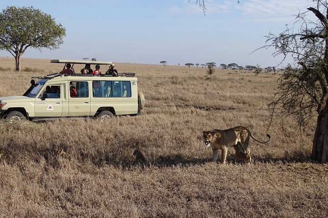 3 days group joining safari to Maasai Mara with a Land Cruiser Jeep - Meals, timing, and what to pack