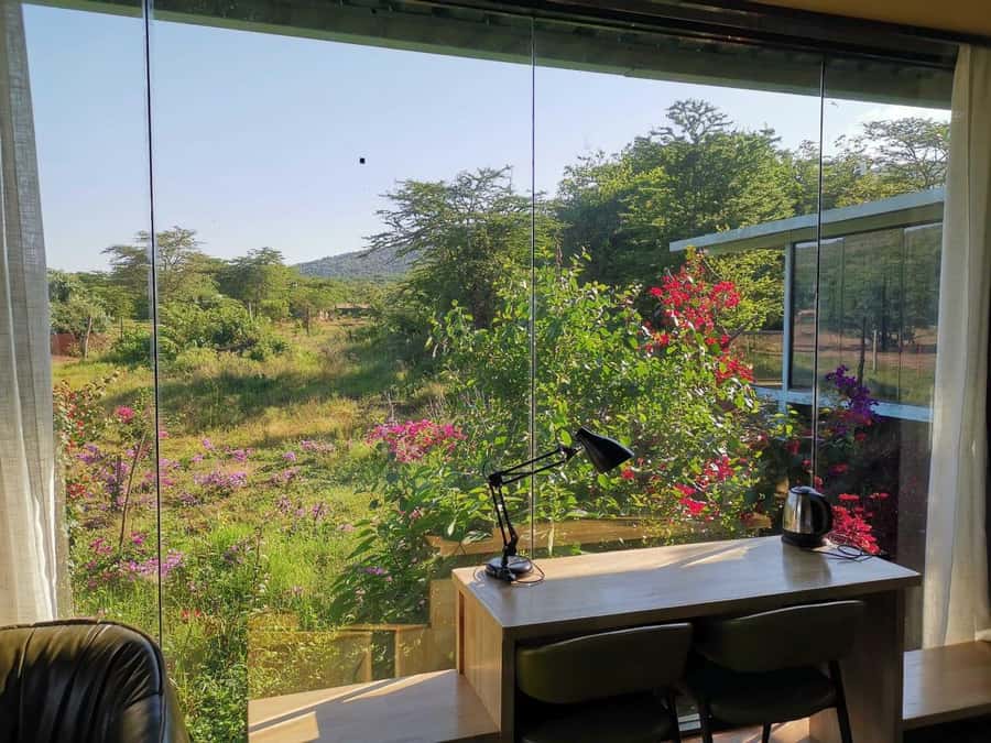 3 Days Maasai Mara Small Group Safari- Jambo Mara Lodge - Should you book the 3-day Maasai Mara safari?
