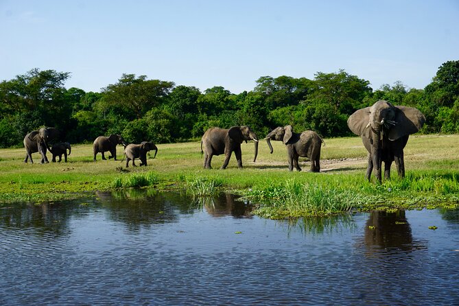 3 Days Murchison Falls Adventure Wildlife Safari Uganda Tour - Day one: the long road north and Karuma Falls