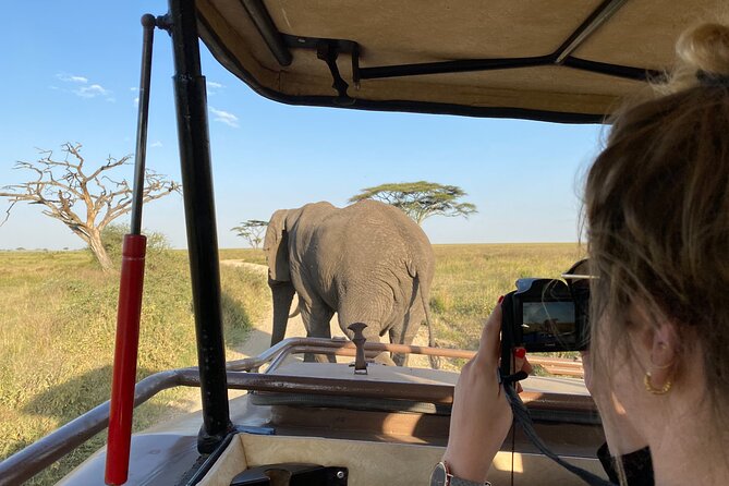 3 Days Private Budget Safari to Tarangire and Ngorongoro Crater - Day 1: A gentle arrival in Arusha
