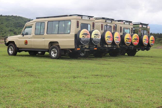 3 Days Private Safari - manyara, Ngorongoro & Tarangire - The guide can shape the whole experience