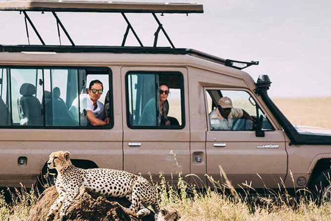 3 Days Safari Ngorongoro Crater and Serengeti National Park - Day three: the Ngorongoro Crater in one concentrated game drive