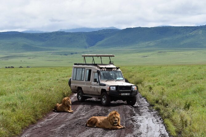 3 Days Safari Ngorongoro Crater and Serengeti National Park - Camping, meals, and the practical side of comfort
