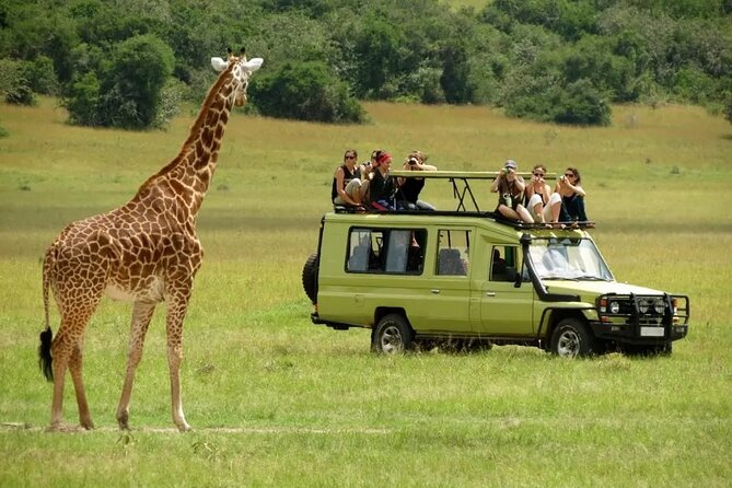 3 Days Safari Ngorongoro Crater and Serengeti National Park - Guides, communication, and group style