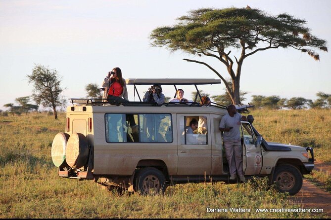 3 Days Safari Ngorongoro Crater and Serengeti National Park - Is $810 a fair price?