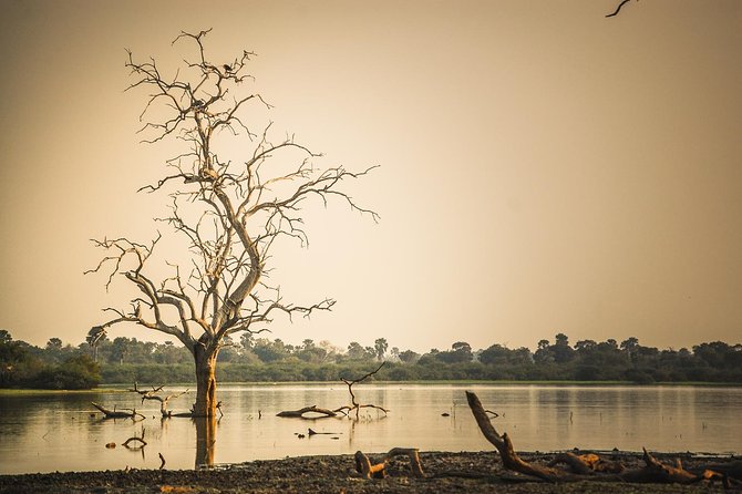 3 Days Safari - Selous Game Reserve - Key points to know before you book