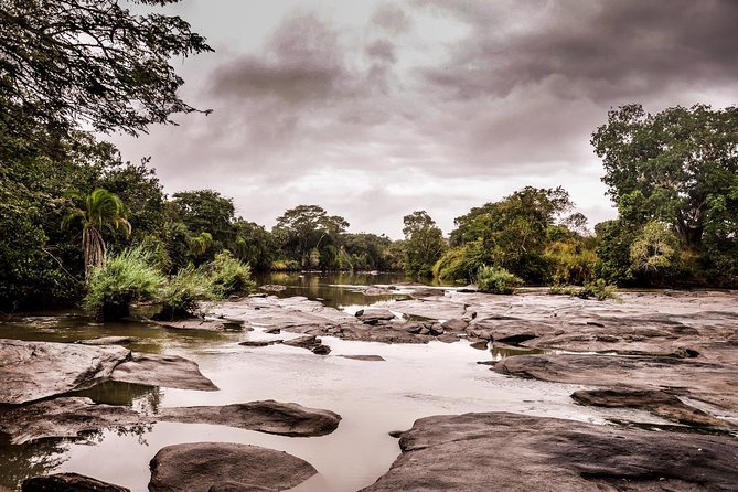 3 Days Safari - Selous Game Reserve - Why the Rufiji boat safari deserves its own place