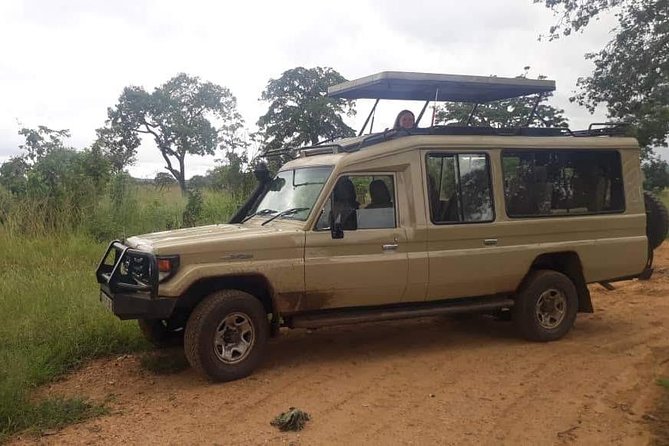 3 Days Safari - Selous Game Reserve - Day three: tracks, trees, and a walk through the reserve
