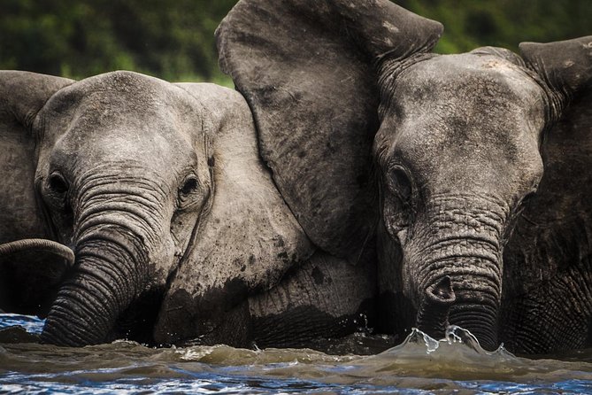 3 Days Safari - Selous Game Reserve - Day one: the long road to the Rufiji River