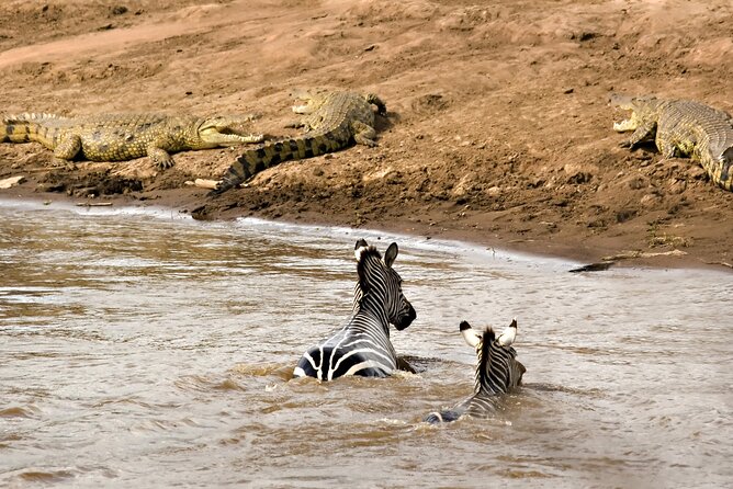 3 Days Safari Serengeti & Ngorongoro Crater - The guides, chef, and personal service