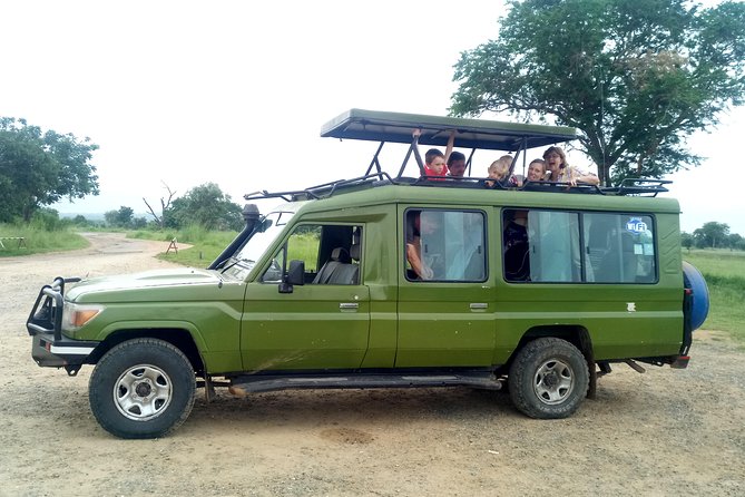 3 Days Safari to Mikumi NP - Accommodation Inside the Park - The private format and guide service